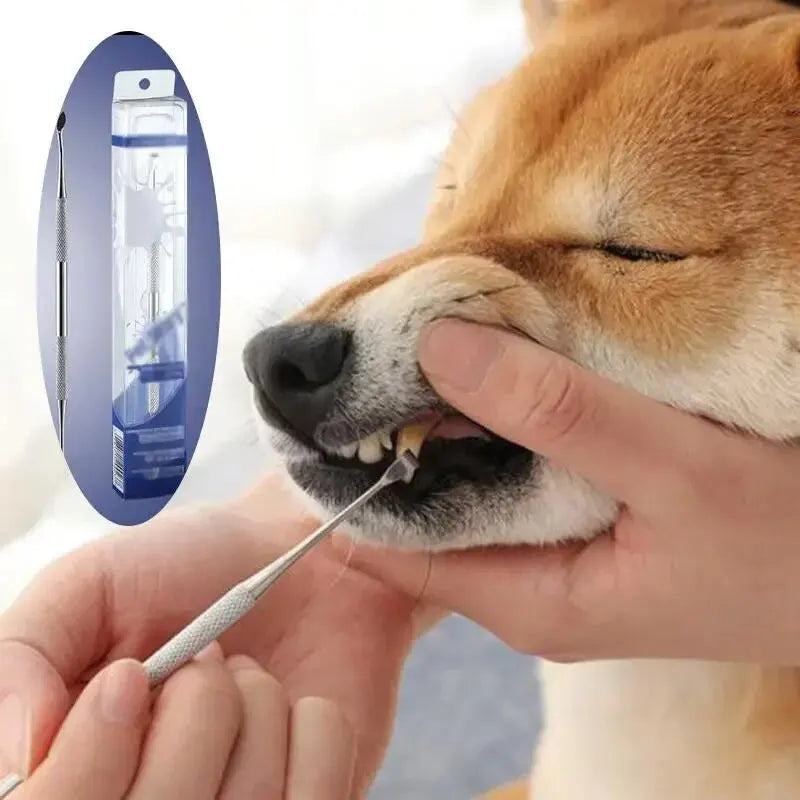 Pet Dental Tooth Cleaner Scraper